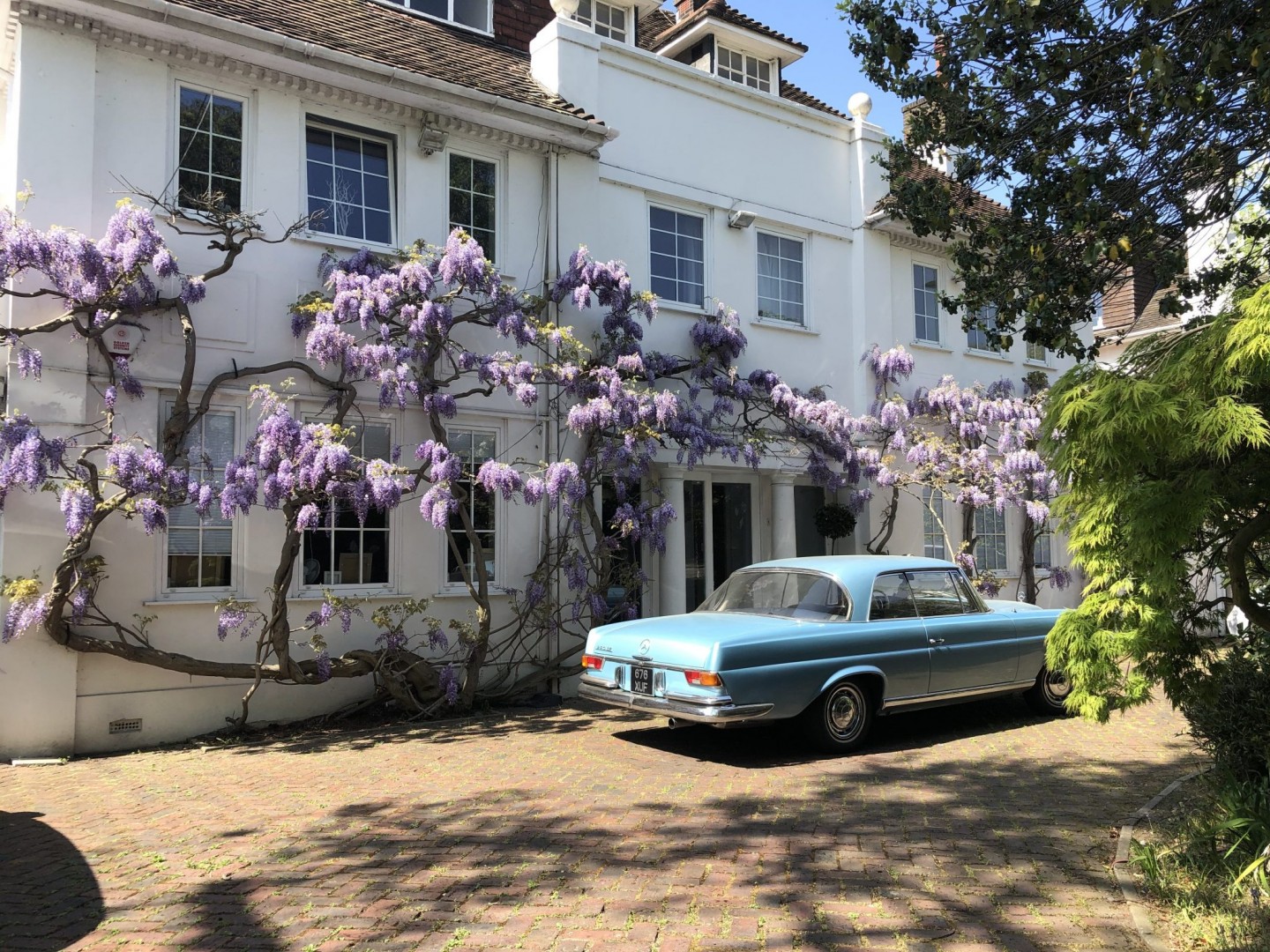 Classic car in wisteria driveway for TV and filming location hire in Park Lodge, London