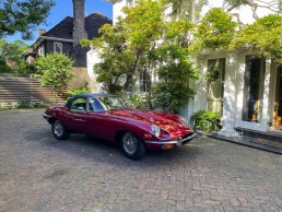 Classic car in wisteria driveway for TV and filming location hire in Park Lodge, London