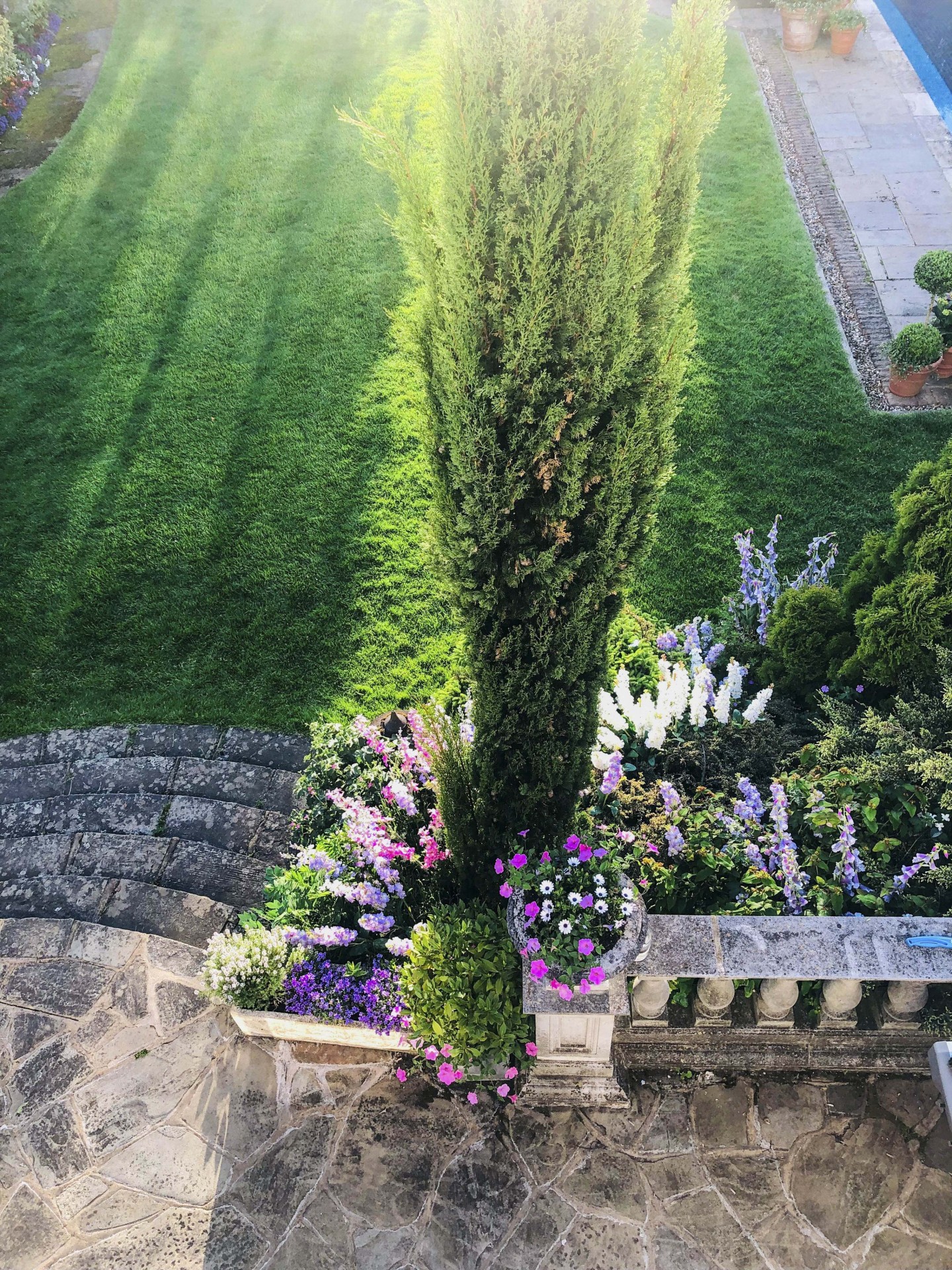 Garden balcony with fir tree with flower, planters, and trees. Location hire for TV and filming in Park Lodge, London