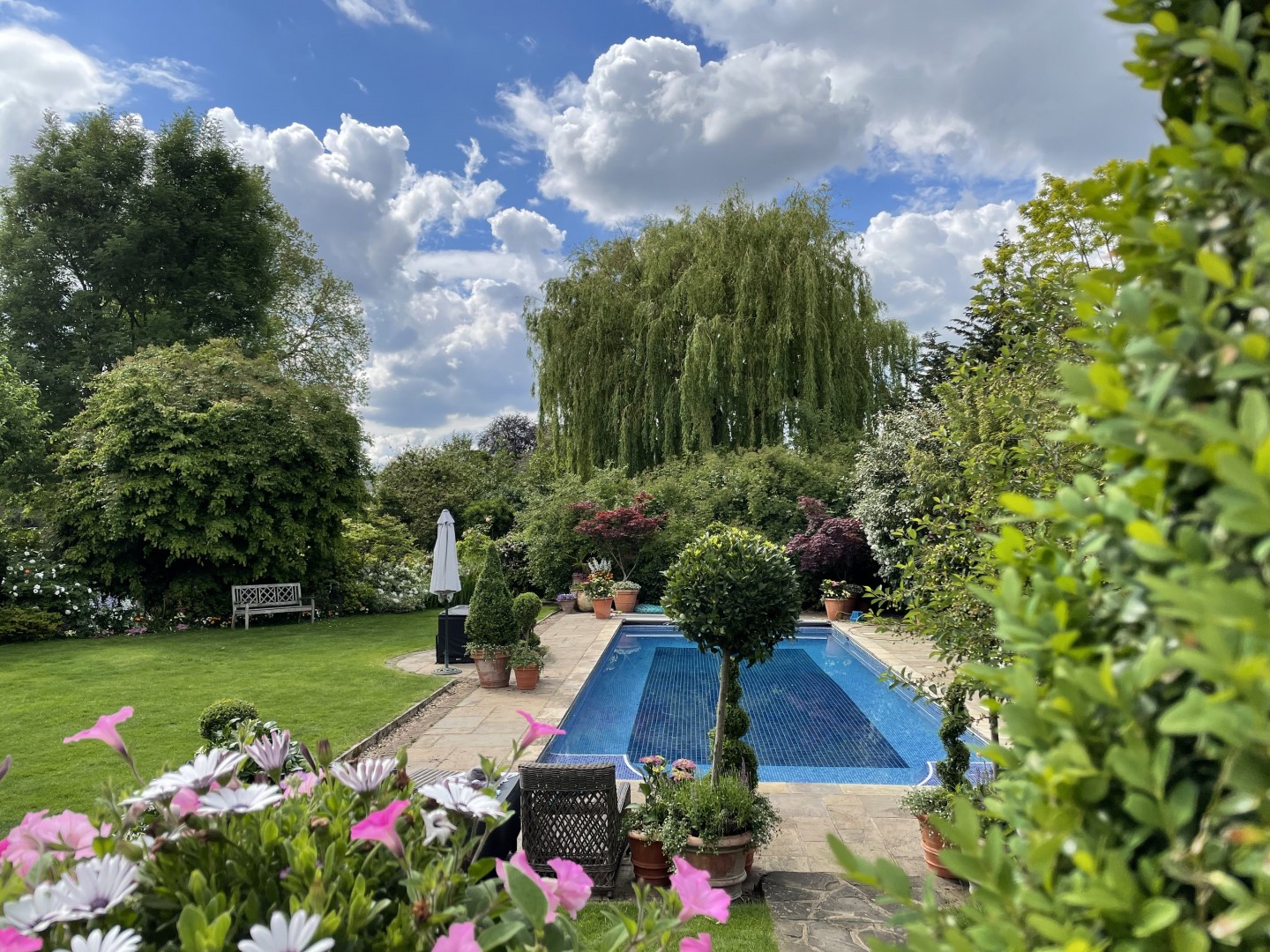 Garden with planters, swimming pool, trees flowers and outdoor furniture. Location hire for TV and filming in Park Lodge, London
