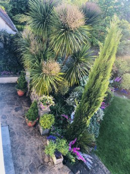 Garden with planters, swimming pool, trees flowers and outdoor furniture. Location hire for TV and filming in Park Lodge, London
