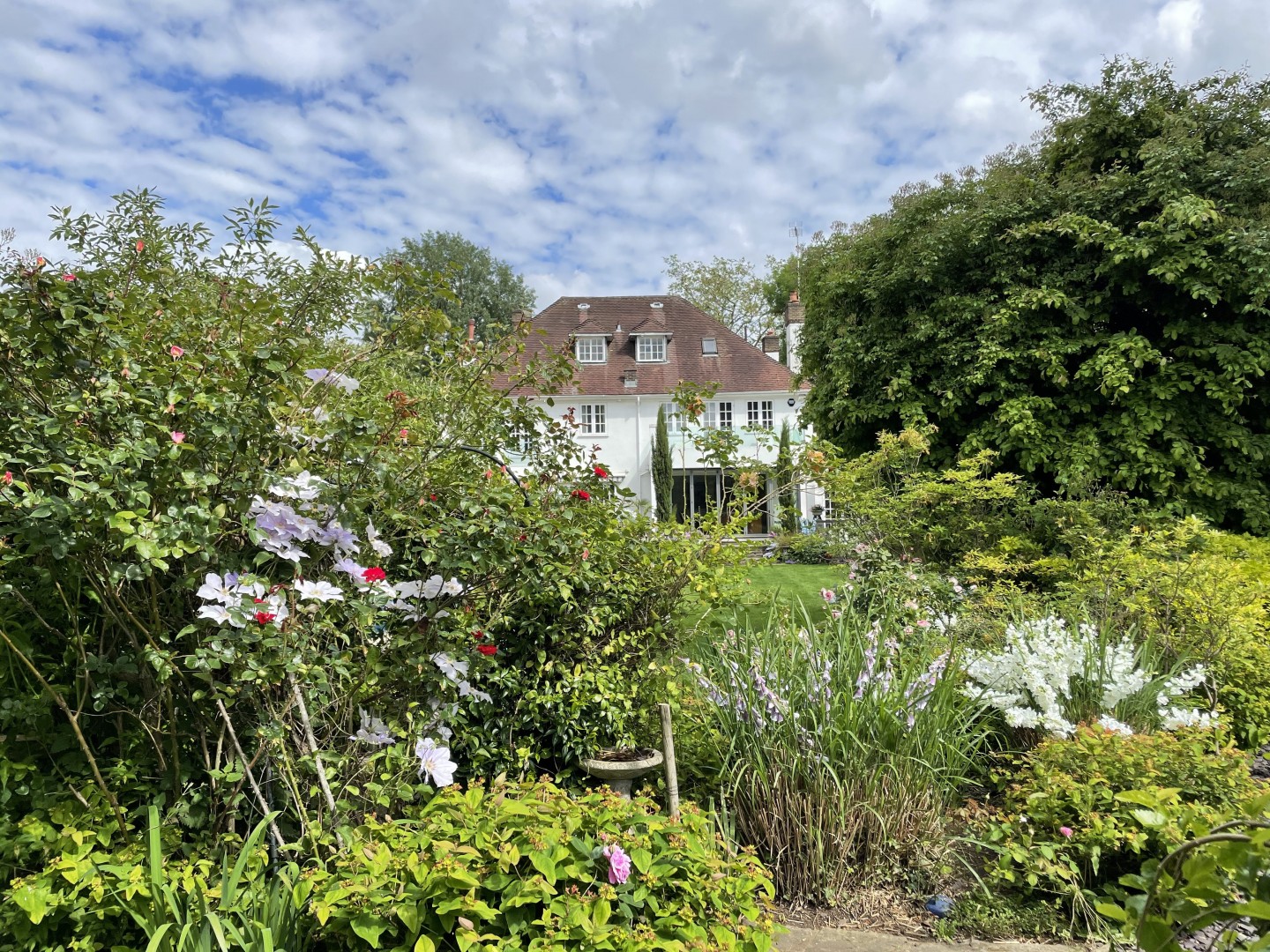 Summer garden full of trees, planters, flowers and outdoor furniture. Location hire for TV and filming in Park Lodge, London