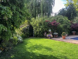 Terracotta garden with planters, swimming pool and trees. Location hire for TV and filming in Park Lodge, London