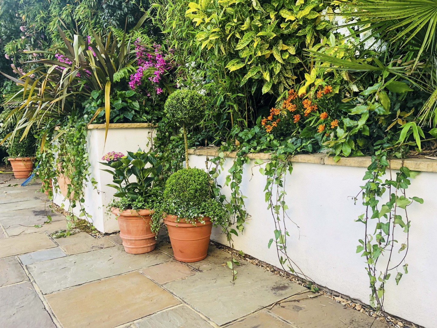 White wall terracotta garden with planters and flower pots. Location hire for TV and filming in Park Lodge, London