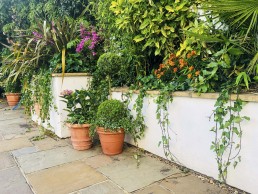 White wall terracotta garden with planters and flower pots. Location hire for TV and filming in Park Lodge, London