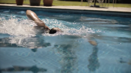 London film location TV Hire onlocation onset location movielocations filming movies location manager location scouting filming locations location scout filmset filming location swimming pool Park Lodge hire country house London Property Real estate Property Lodge Hire lodge Luxury property London homes London real estate Driveway On set location Film making Location scouting Film location Pool Garden pool Garden Driveway Wisteria Wall climbing plant wall climbing tree